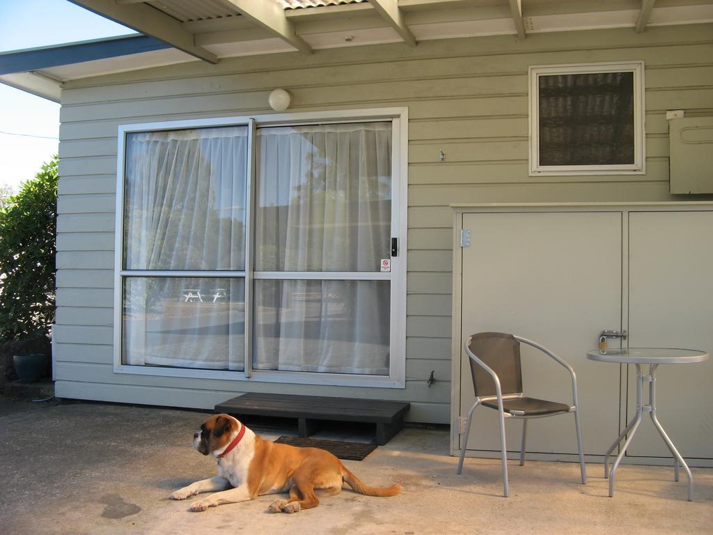 Tongariro River Motel Turangi Δωμάτιο φωτογραφία